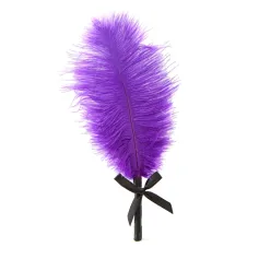Sensual feather-BDSM tickler BDSM Toys Bdsm Sensory Play