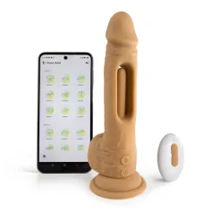 Mr. Wonderful-Suction cup dildo vibrator Vibrators Vibrating Dildos
